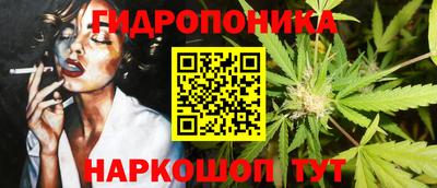 apvp Гай