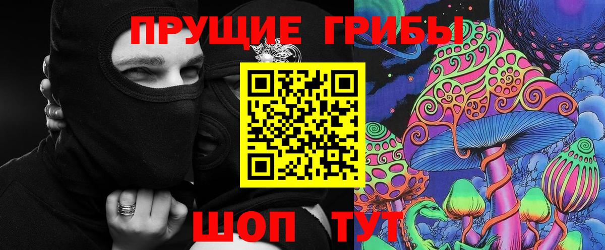 Псилоцибиновые грибы прущие грибы Ростов Великий