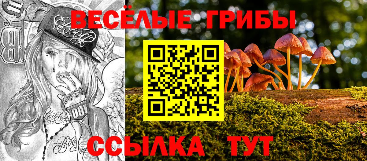 Псилоцибиновые грибы Cubensis  Вход с VPN  хочу наркоту  Галлюциногенные грибы мухоморы  Ростов Великий 